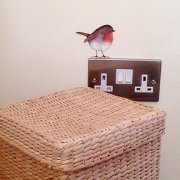Guest Artist Vinyls - 'Bob Robin' - Sue McLearie