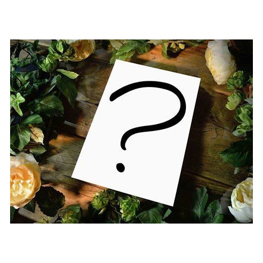 Paper Panda Papercut DIY Design Template - 'Surprise Template January'