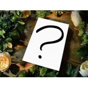 Papercut DIY Design Template - 'Surprise Template October 2016'